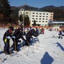 태화초등학교 이미지