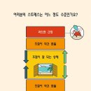 라이프에디터