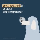 여주동물병원 이미지