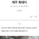 하루방똥돼지 이미지