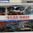 착한산곰장어 이미지