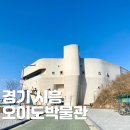 [(7월)전시해설프로그램] 박물관 나와라, 쿵딱-7월30일(13:30) | 시흥 아이랑 오이도박물관 어린이체험실 예약 방법 후기
