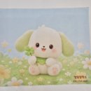 엘림렌즈 네이버블로그