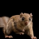 gc-camera-009 이미지