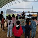 솔찬마루 태권도장 이미지