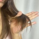 서면미용실추천 서면복구매직 신데렐라 복구클리닉 시술 후기 :: 알라모드헤어