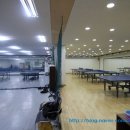 선릉탁구