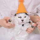 우리집첫째 이미지