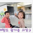 다도초등학교 | 20170917&lt; + 1665 / + 687 &gt; 우리아이 안전은 대전교통문화연수원에서 함께 배워요 ^ㅡ^