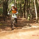 옥천 약수터 이미지