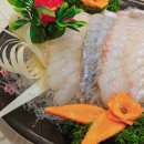 군산활어회 이미지