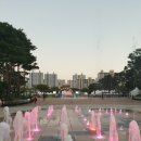 미성화로구이 | 걷고, 달리고, 춤추자! 2024 안양춤축제 개막일 방문 후기 놀거리 대박