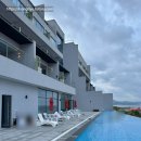 마담아네뜨 이미지