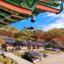 그대스테이 | 고요한 사찰에서의 머무름! 템플스테이 사찰 추천