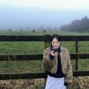 아영목장 이미지