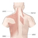 더매력GYM 이미지