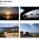 통영터널로가로수 이미지