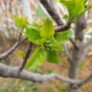 화양연화농장 이미지