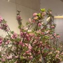 하나수영장 | [웨스틴 조선호텔 서울] 나인스게이트, 조식, 수영장 후기