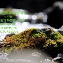 힐링캠프제이앤엘 티스토리