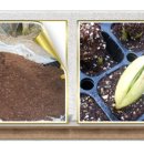 빛가람농장 이미지