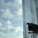 무궁화집 | 단열시트 무궁화마켓 겨울철 집에서 셀프시공해본 후기