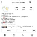 여름날강아지놀이터