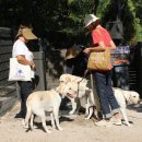 서울 애니 동물병원 이미지