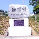 숲쟁이로 이미지