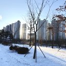 하얀울공원 | 위례호수공원 하얀 눈 내린 토요일 아침 산책길 코스