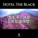 도란도란모텔 | 강화도모텔 벚꽃 구경 강화도로 오세요!!
