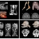 24시동물병원 이미지