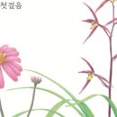 보타니컬아트(초급) 이미지