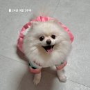 연휴 동안의 기록 모음.zip