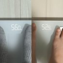다예공방 | 강남 다이어트 슬림환 3주동안 3키로 감량한 후기