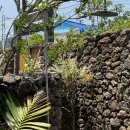 낙원비치하우스 이미지