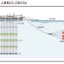 기선저인망, 채낚기 이미지