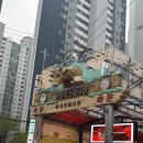 대광축산 | 마장동 축산시장 첫 방문 기빨린 후기,,