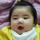 스튜디오시소