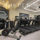 PT MATE 이미지