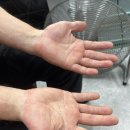 피엠화학 이미지