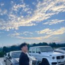 개들랜드 | 부산근교 애견카페 울산 개들랜드 겁쟁이 강아지 방문 후기