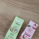 꼬동이네 | 병원가고 꼬동이 만난 일상