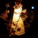 건대바른약국 이미지