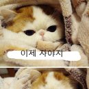 공감 이미지