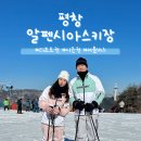 알파 사우나 | 알펜시아스키장 후기 리프트권 시즌권 셔틀버스 정보