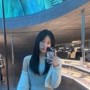 파란코끼리디자인