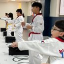 바로새김태권도장 이미지