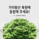 7아띠 이미지