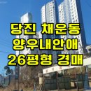 당진시 채운동 507-2 | 당진 양우내안애 경매 채운동 당진 양우내안애 매매 급매 2025타경51502